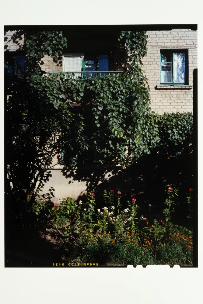 1066-more-2.webp